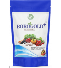BOROGOLD Fungicides / Bactericide 150 grams (Shamrock)